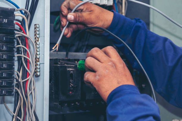Professional Electrician in MI